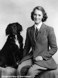 Jane Goodall & Her Dog Rusty - click to enlarge...
