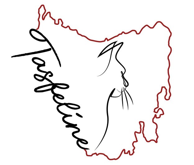 TFA logo