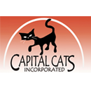 CCI