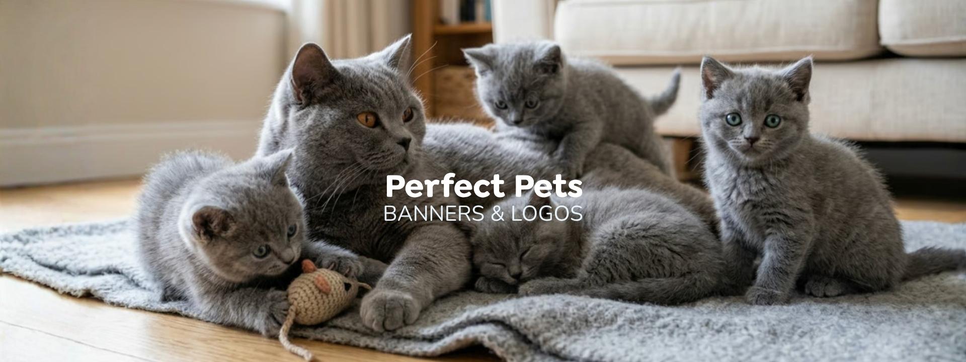 Perfect Pets member banners and logos - Cats