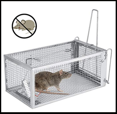 Humane mouse Trap Cage