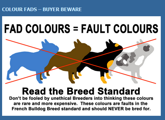 French Bulldog Fad Colours