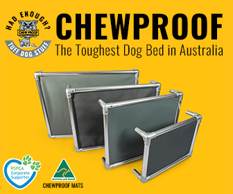 Chewproof dog beds