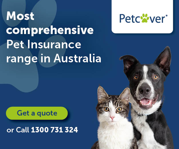 Pet Cover Australia Ad