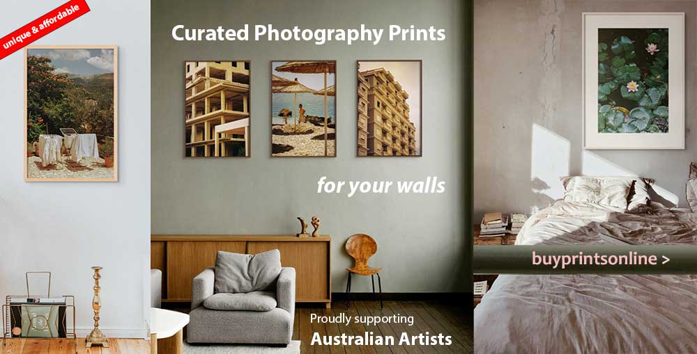 4 things to consider before adopting a dog during the coronavirus crisis