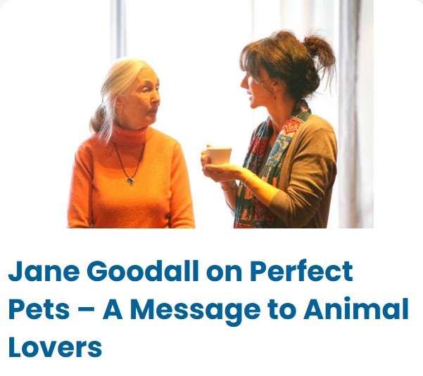 Jane Goodall talks about Perfect Pets
