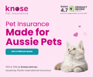 Knose Pet Insurance