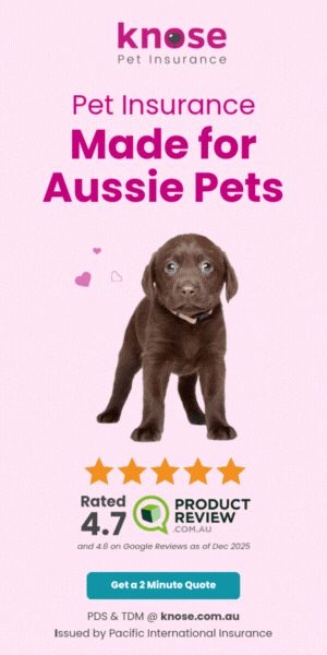 Knose Pet Insurance Australia
