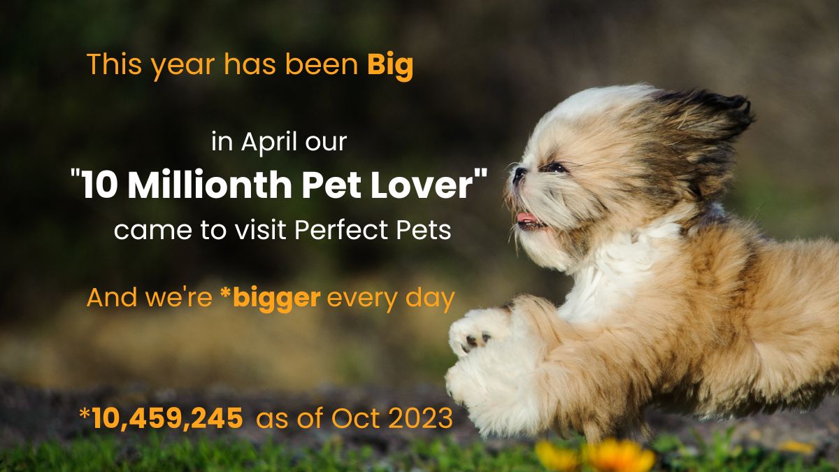 Perfect Pet - Over 10 Million Pet Lovers 
