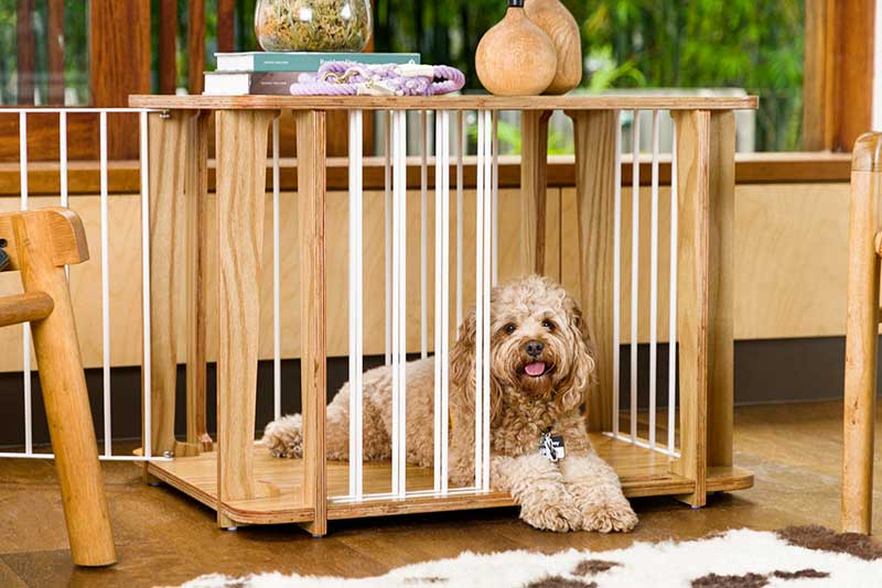 Archie Dog Crate - The Paws Room