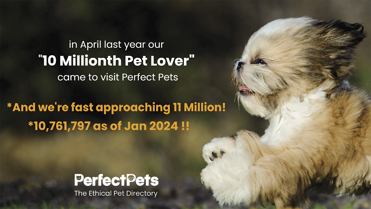 Perfect Pets Australia - 10 Million Pet Lovers
