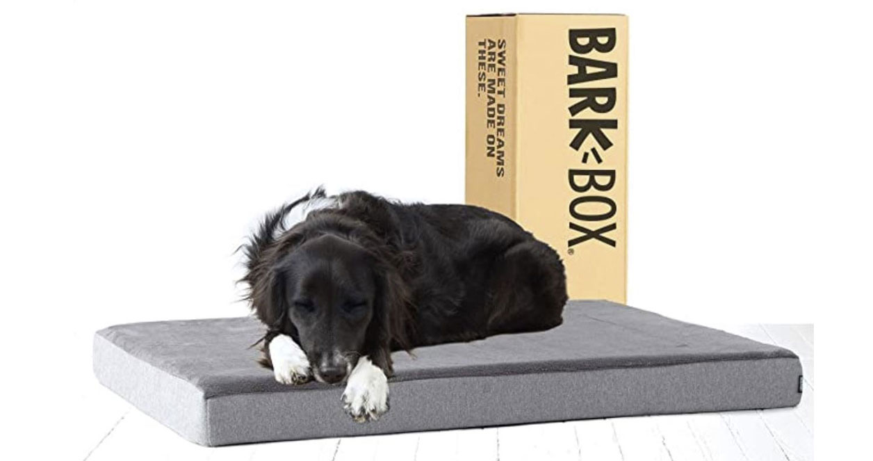 Bark Box Orthopaedic Dog Bed