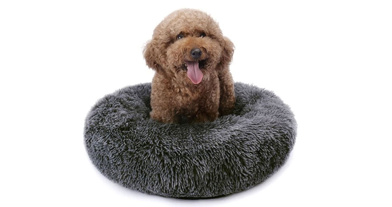 Calming Dog Bed - Best Dog Beds 
