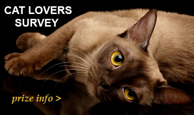 Perfect Pets Cat Lovers Survey