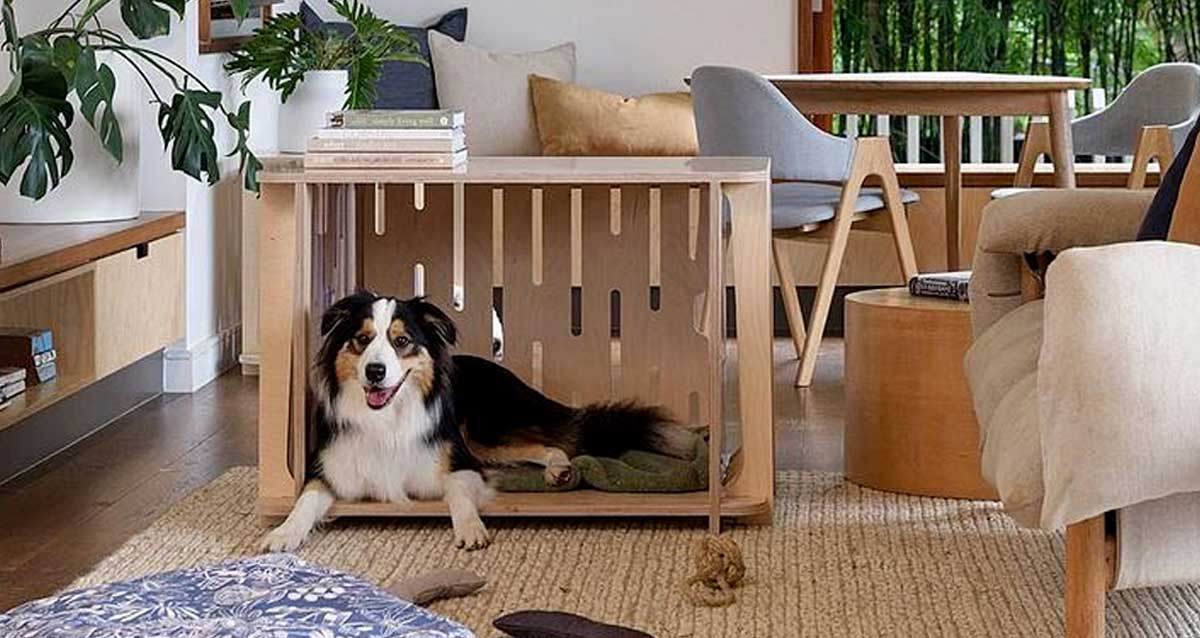 https://perfectpets.com.au/images/images/crate-traing-for-dogs.jpg