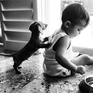 toddler and puppy