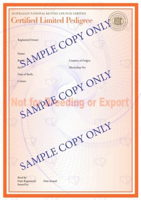 Sample Dogs Australia Limited Register pedigree certificate (orange papers)