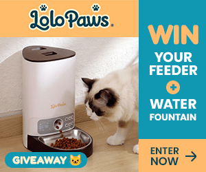 Lolopaws Water Fountain Ad