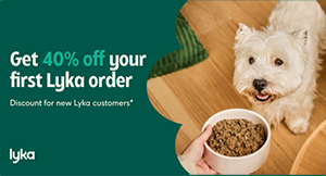 40% Off Lyka Dog Food 