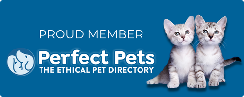 Proud member of Perfect Pets -- cat badge