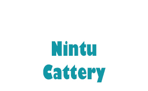 Nintu Cattery