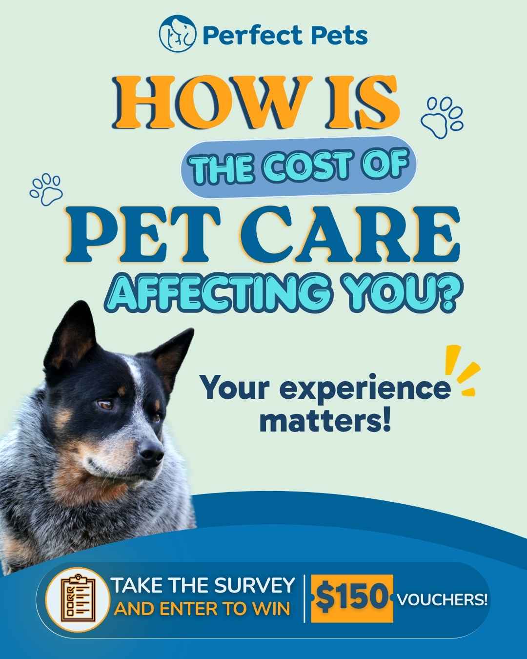 Pet Care Survey