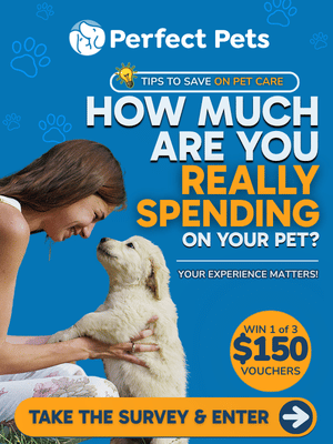 Pet Care Survey