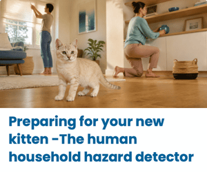 Preparing your home for your new kitten