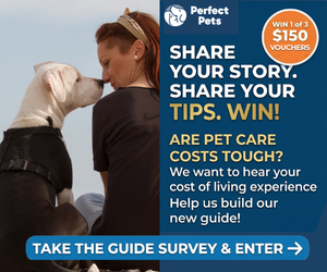 Perfect Pets Pet Care Survey