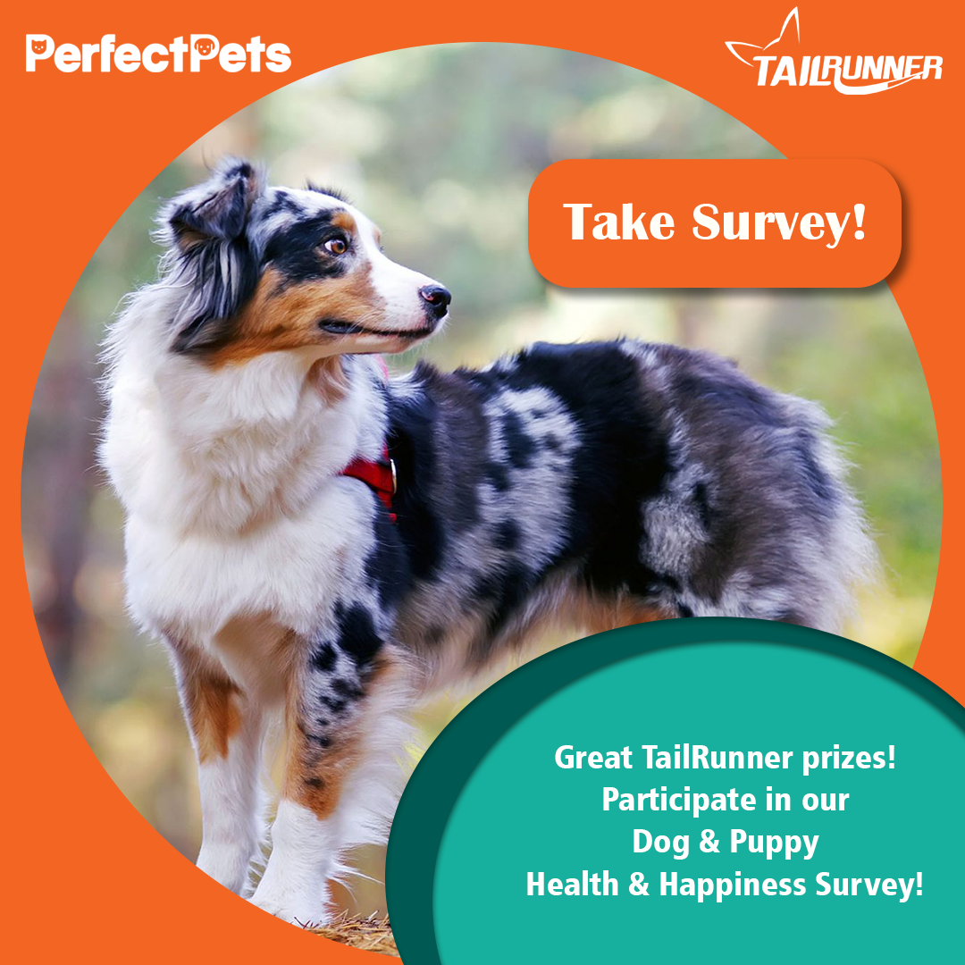 Dog and puppy health survey