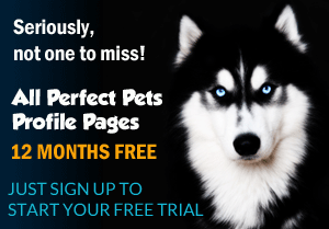 sign up to perfect pets free