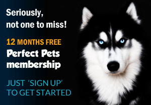 Join Perfect Pets Now...