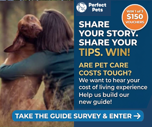Pet Care Survey Pet Care Survey