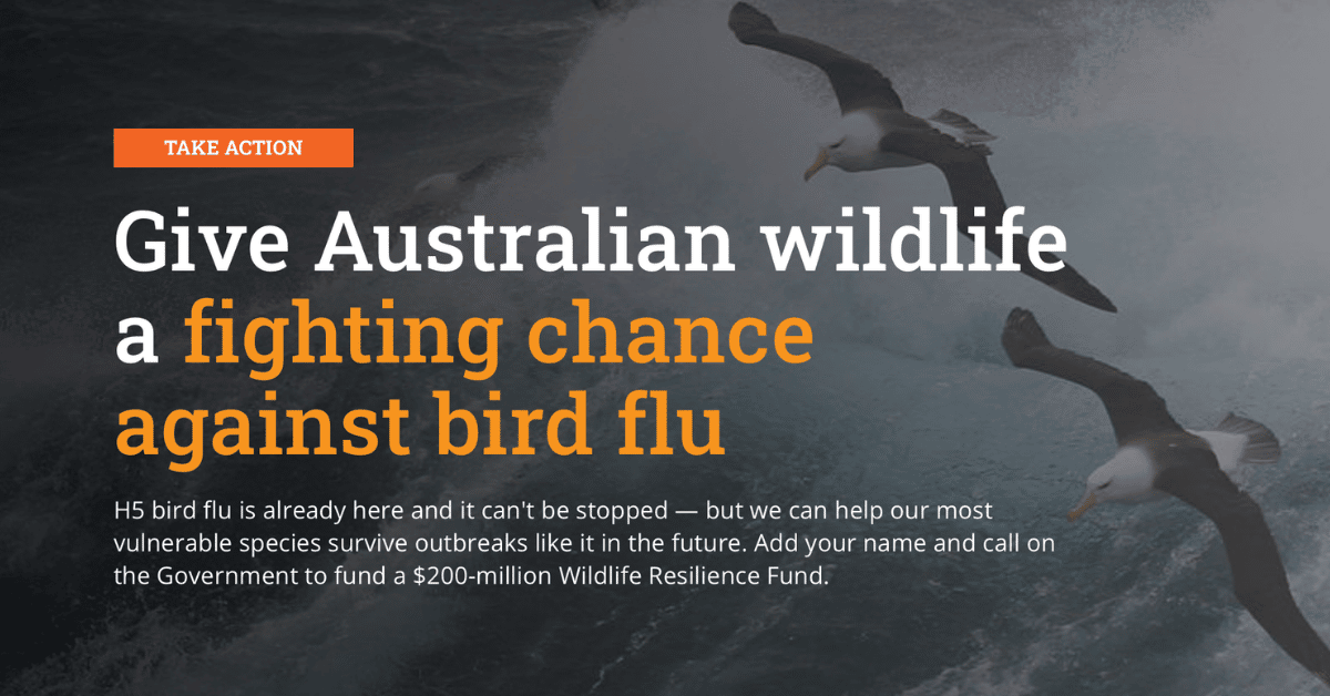 Wildlife Resilience Fund -- Invasive Species Council